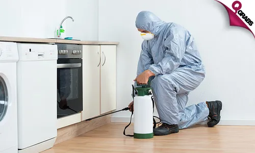 Pest Control Services!